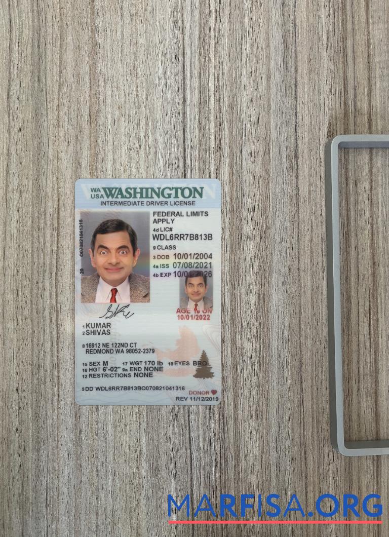 Blank USA Washington under 21 intermediate driving license photolook template